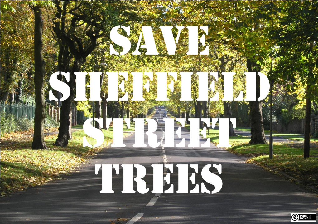 Save Sheffield Street Trees