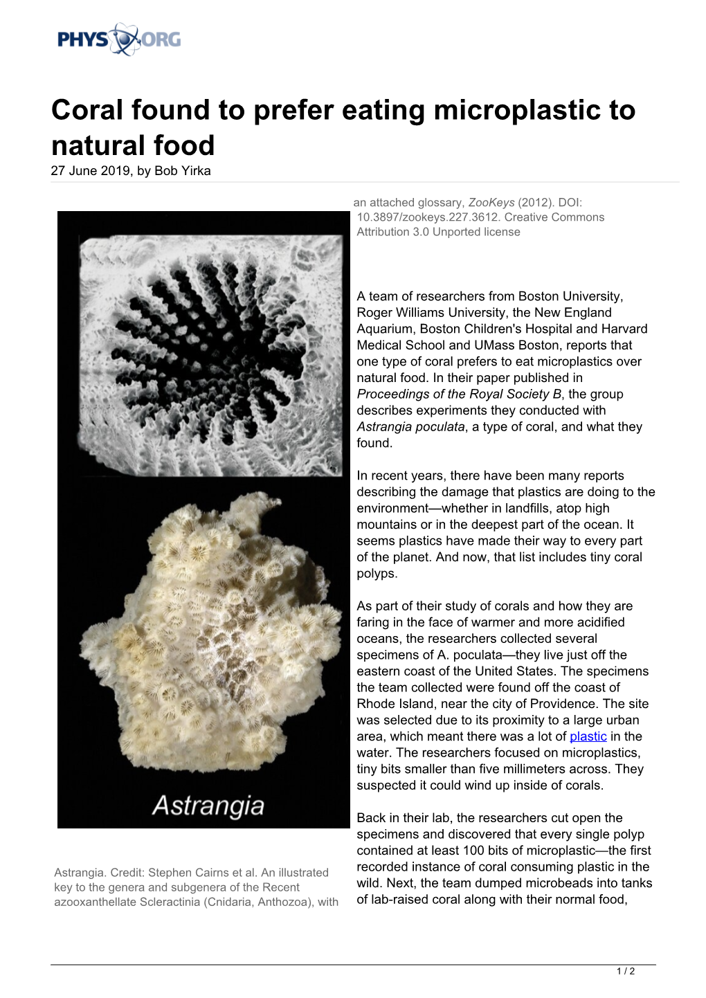 Coral Found to Prefer Eating Microplastic to Natural Food 27 June 2019, by Bob Yirka