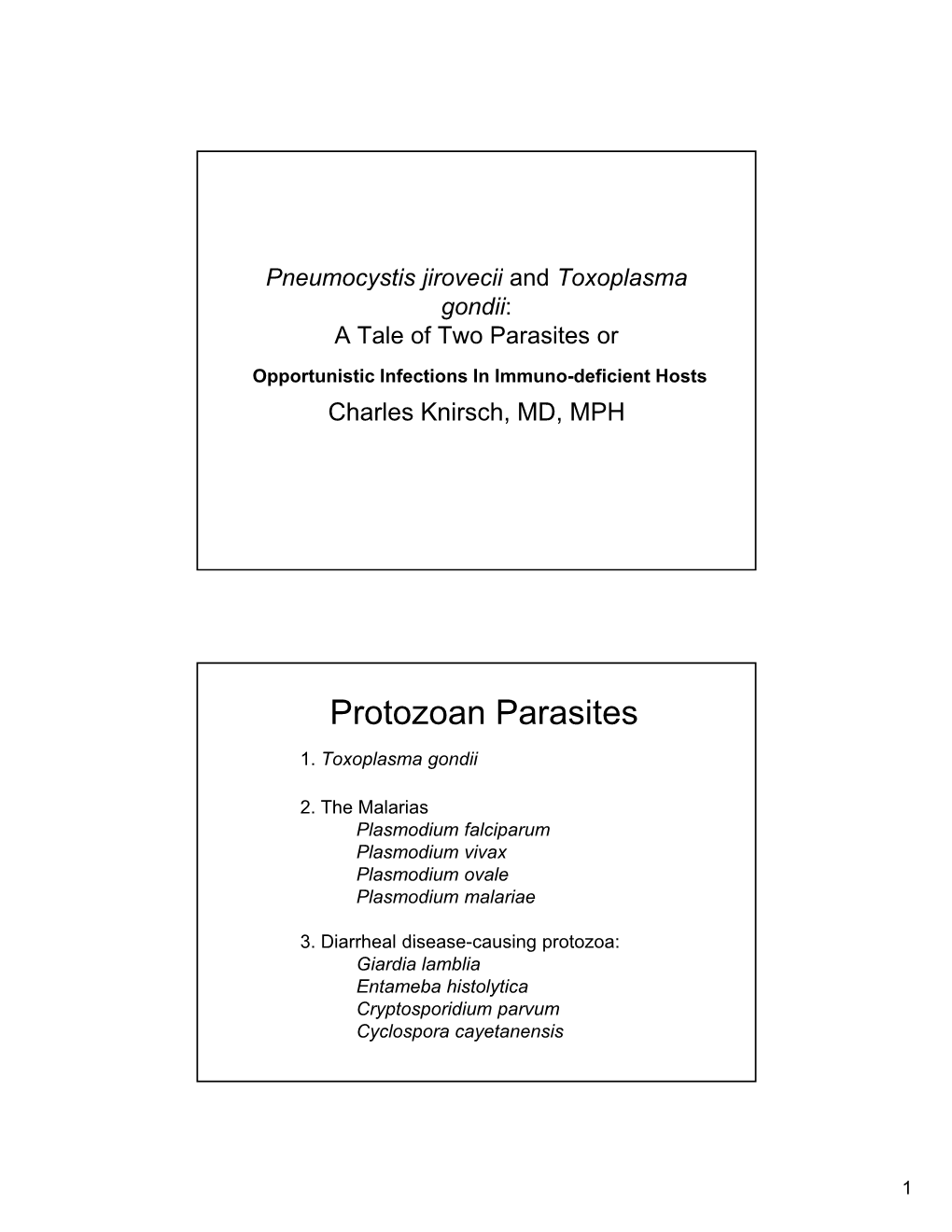 Protozoan Parasites