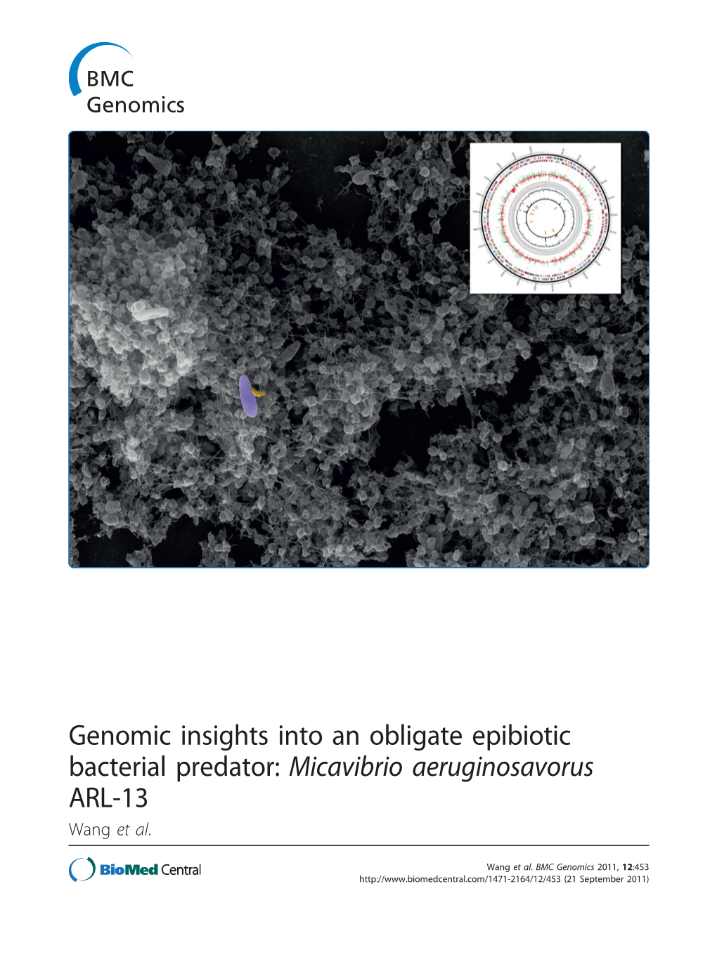 Genomic Insights Into an Obligate Epibiotic Bacterial Predator: Micavibrio Aeruginosavorus ARL-13 Wang Et Al