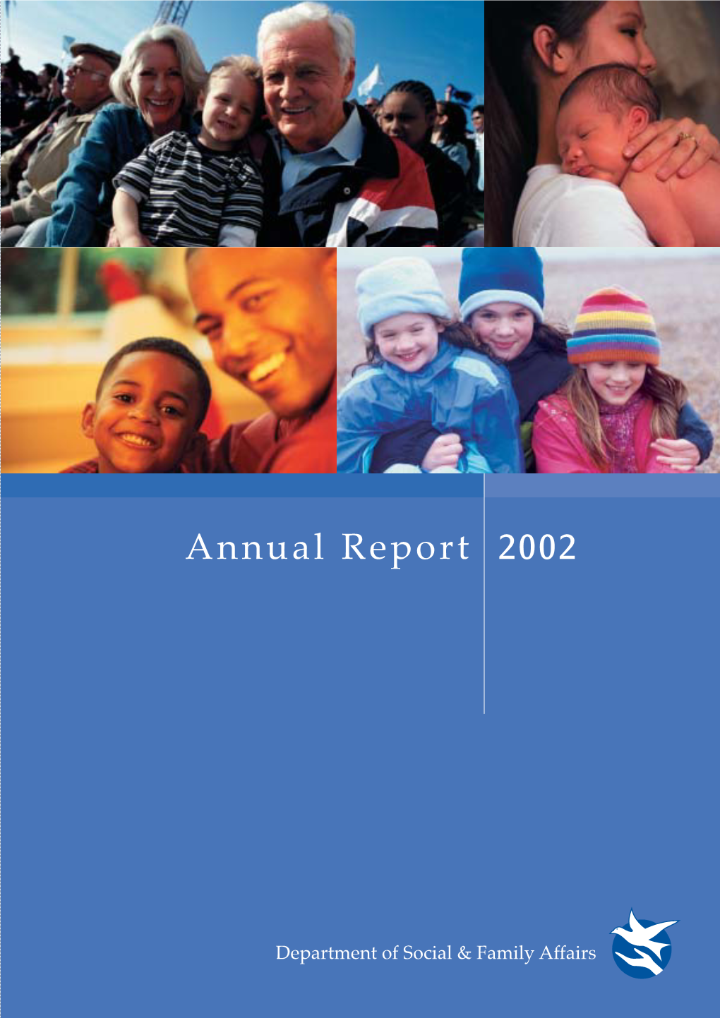 29640 DSFA Report 2002 ENGLISH