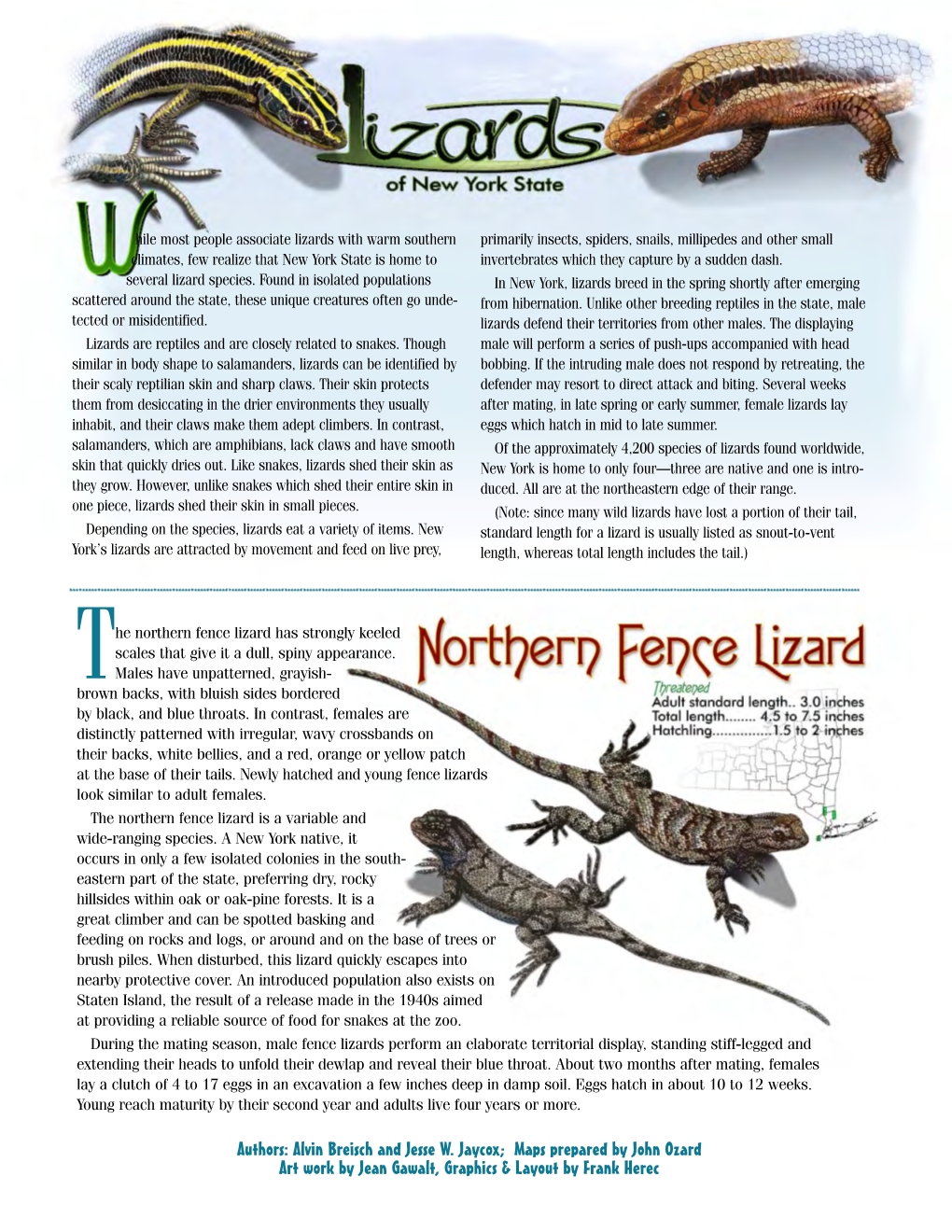 Lizards of New York State (PDF)