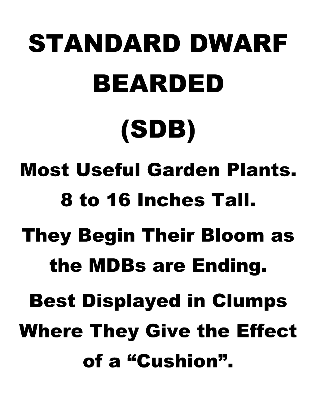 Standard Dwarf Bearded (Sdb)