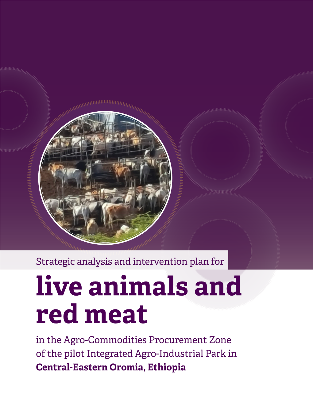 Live Animals and Red Meat in the Agro-Commodities Procurement Zone of the Pilot Integrated Agro-Industrial Park in Central-Eastern Oromia, Ethiopia