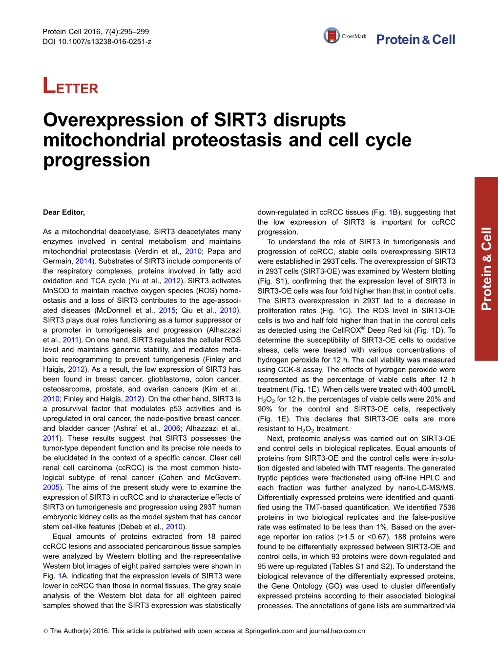 Overexpression of SIRT3 Disrupts Mitochondrial Proteostasis and Cell Cycle Progression