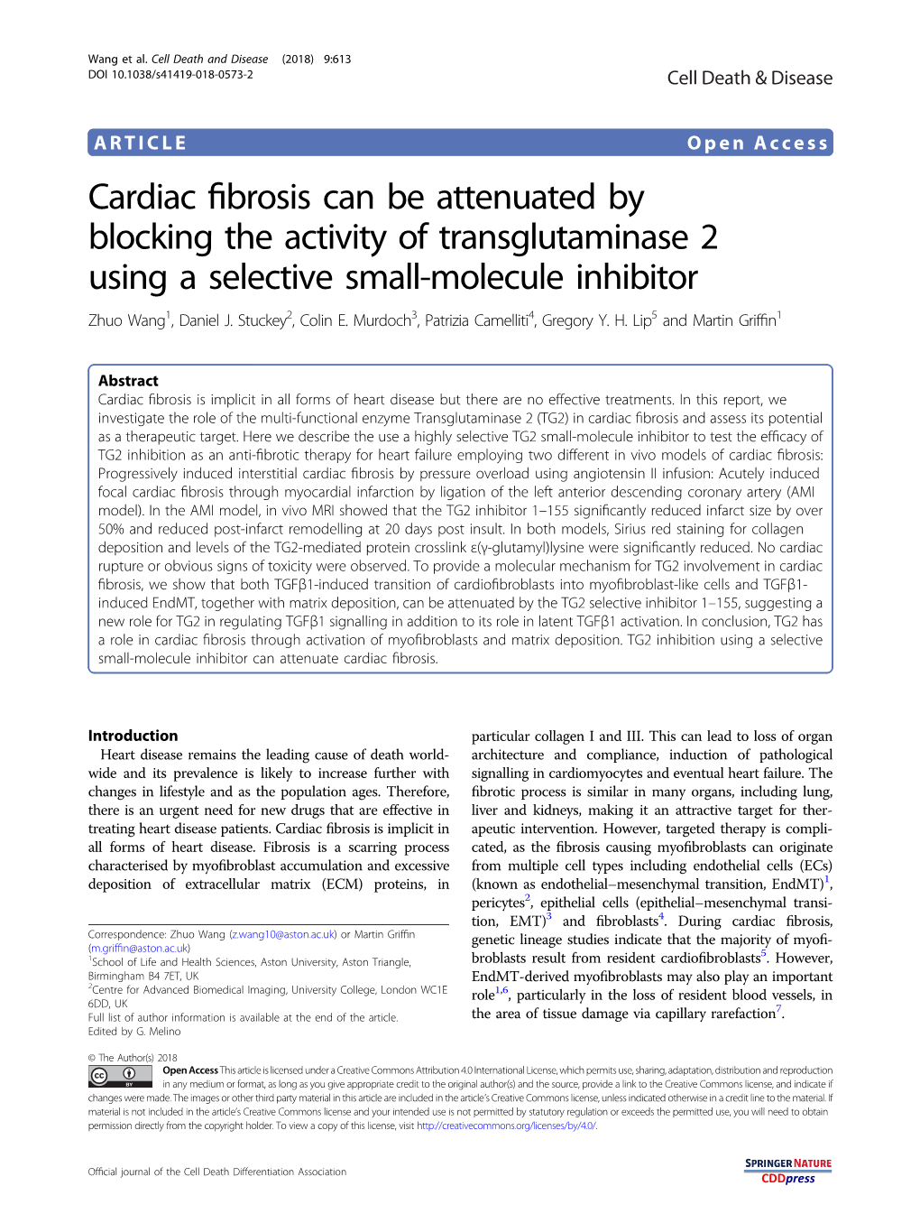 Cardiac Fibrosis Can Be Attenuated by Blocking the Activity