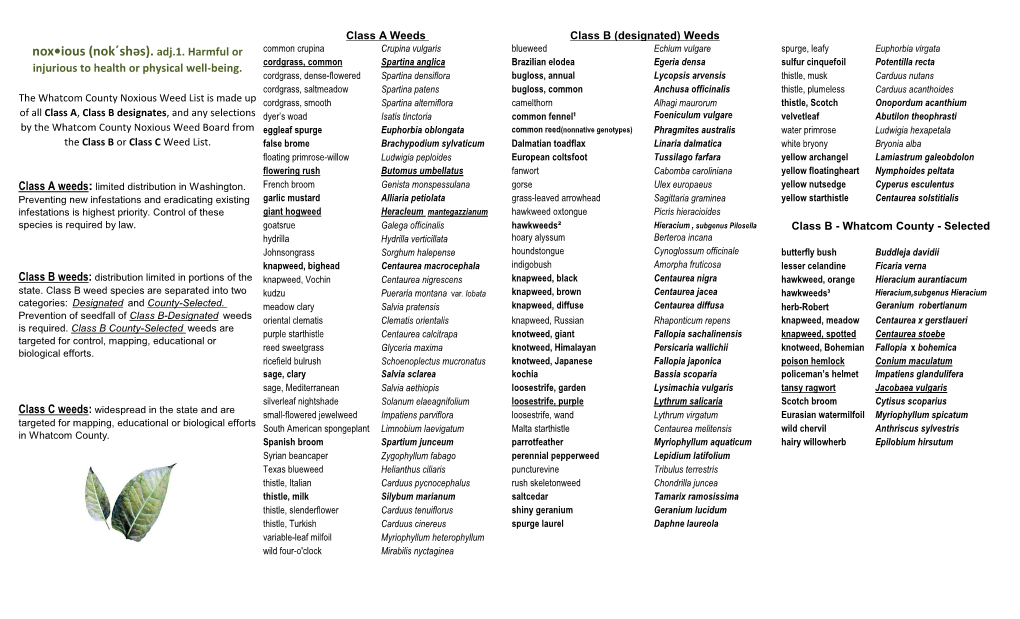 Whatcom County Noxious Weed List