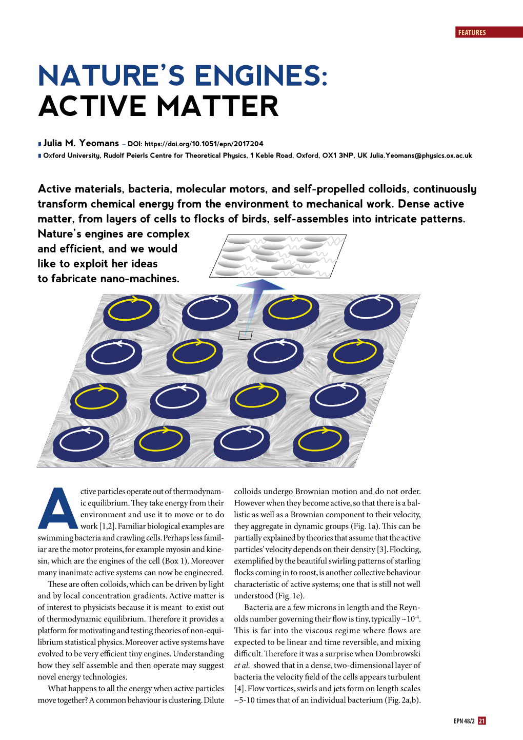 Active Matter