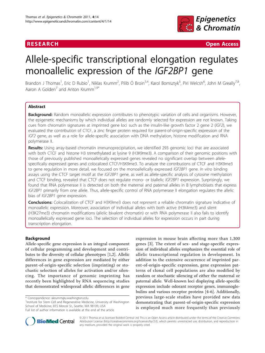 Allele-Specific Transcriptional Elongation Regulates Monoallelic Expression of the IGF2BP1 Gene