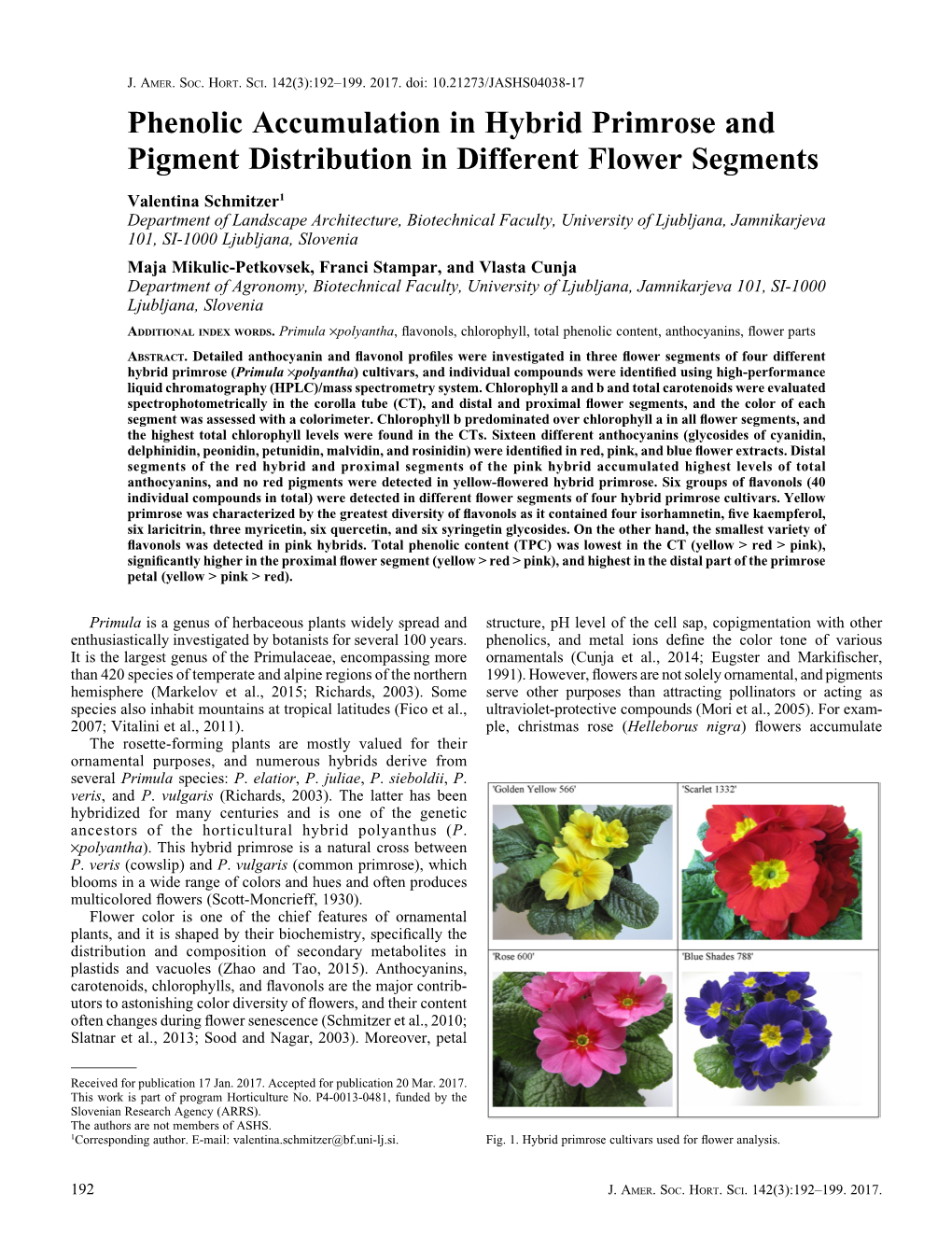 Phenolic Accumulation in Hybrid Primrose and Pigment Distribution in Different Flower Segments