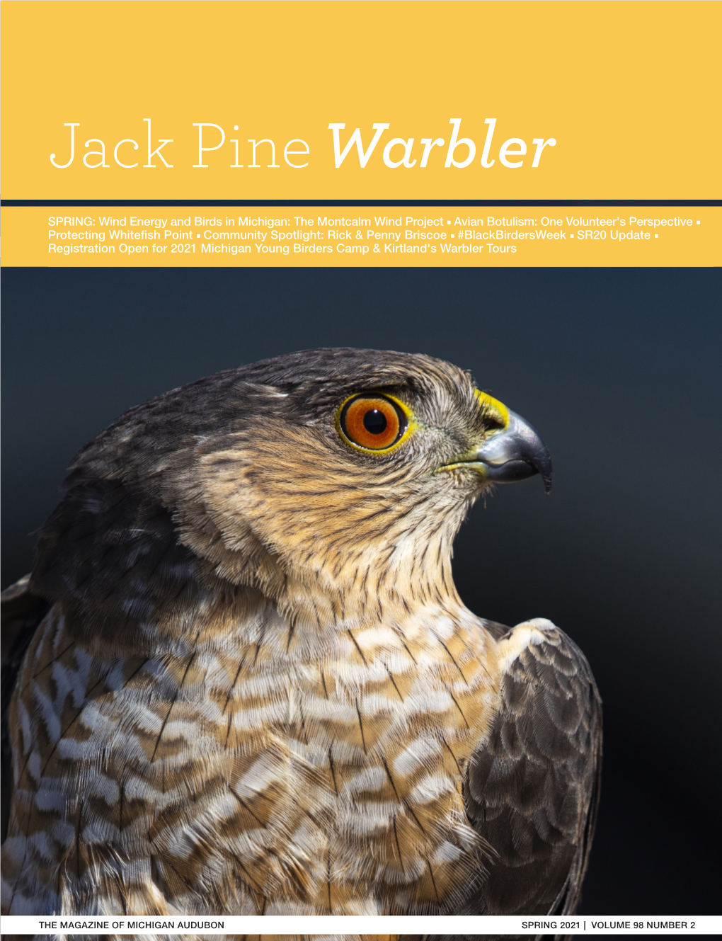 Jack Pinewarbler