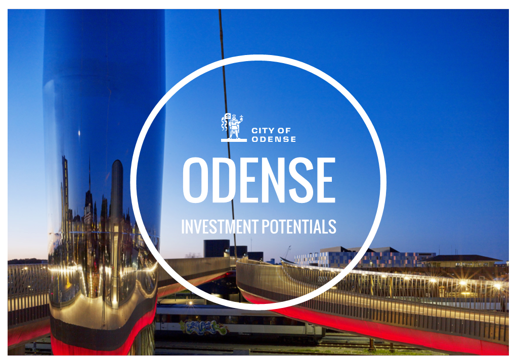 Investment Potentials 2 Welcome to Odense