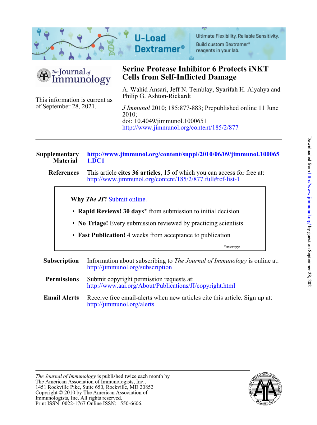 Cells from Self-Inflicted Damage Serine Protease Inhibitor 6 Protects