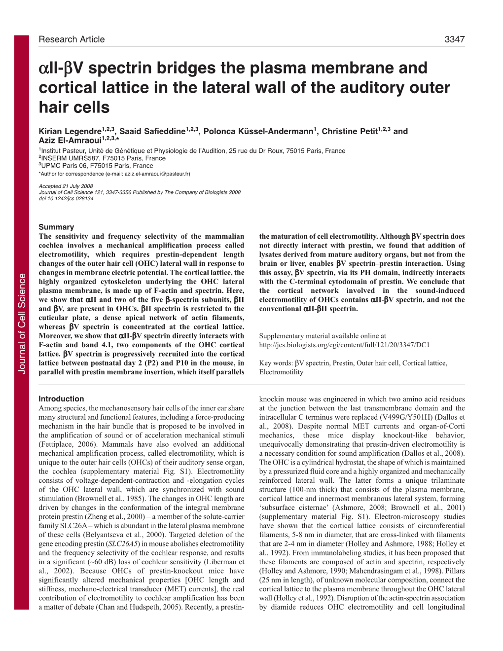 Αii-Βv Spectrin Bridges the Plasma Membrane and Cortical Lattice in the Lateral Wall of the Auditory Outer Hair Cells