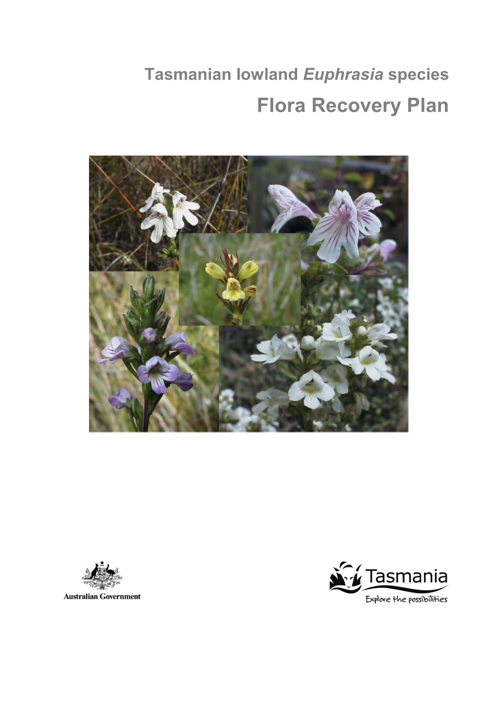 Tasmanian Lowland Euphrasia Species Flora Recovery Plan (PDF