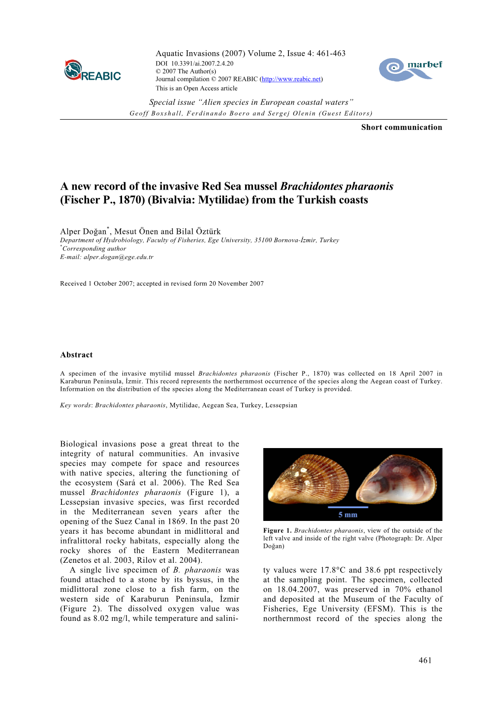 A New Record of the Invasive Red Sea Mussel Brachidontes Pharaonis (Fischer P., 1870) (Bivalvia: Mytilidae) from the Turkish Coasts