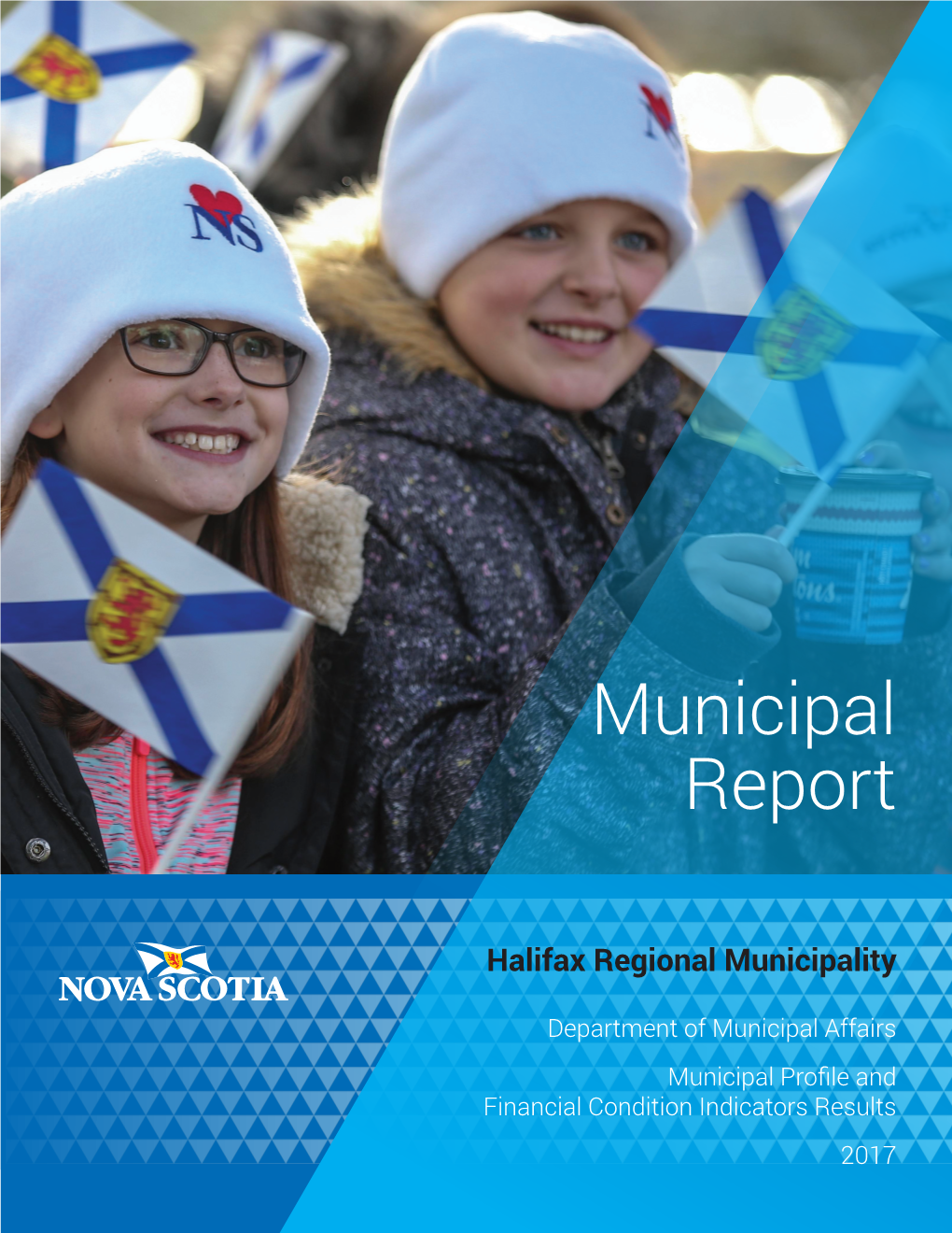 Municipal Profile and Financial Condition Indicators Results 2017