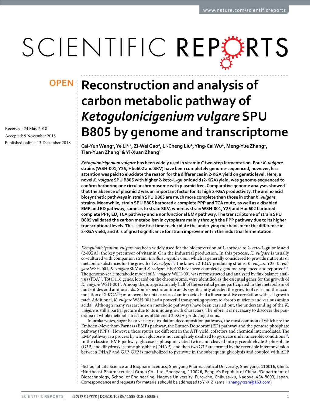 Reconstruction and Analysis of Carbon Metabolic Pathway Of