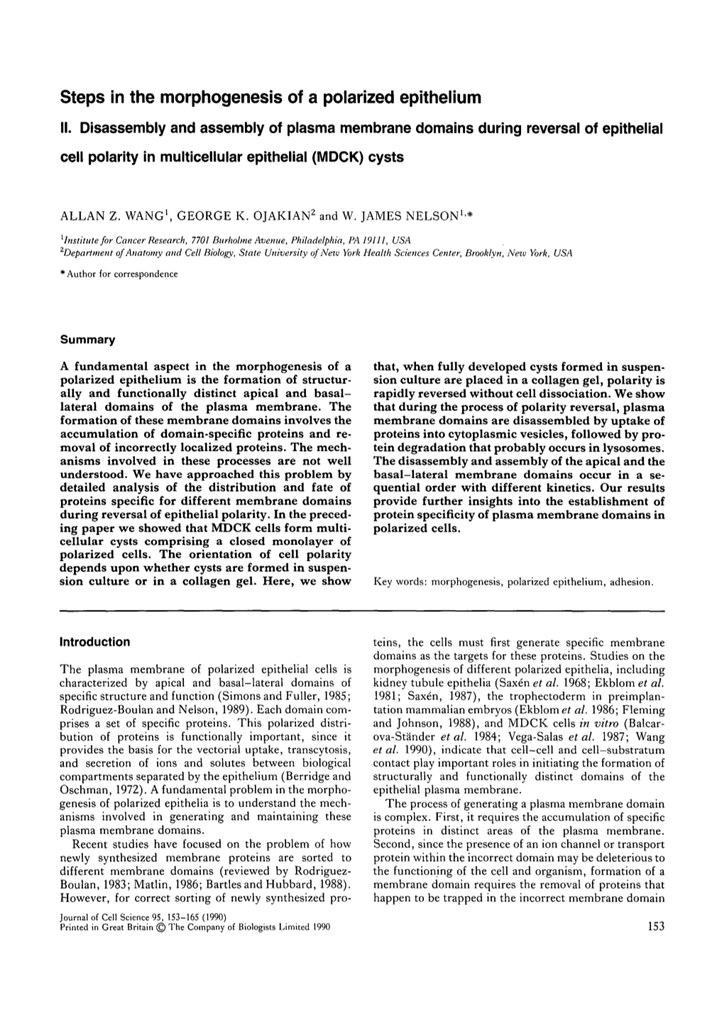 Steps in the Morphogenesis of a Polarized Epithelium