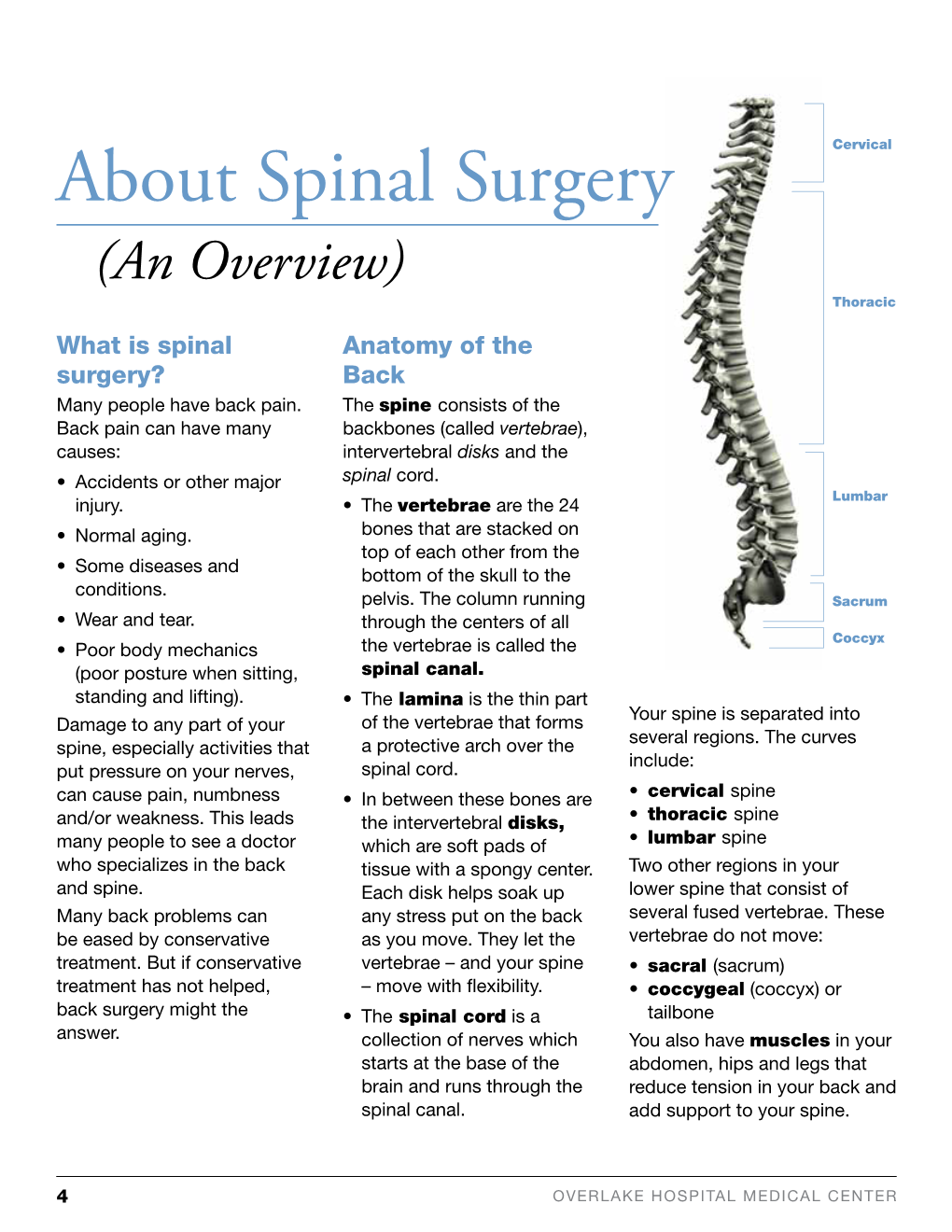 About Spinal Surgery (An Overview) Thoracic What Is Spinal Anatomy of the Surgery? Back Many People Have Back Pain