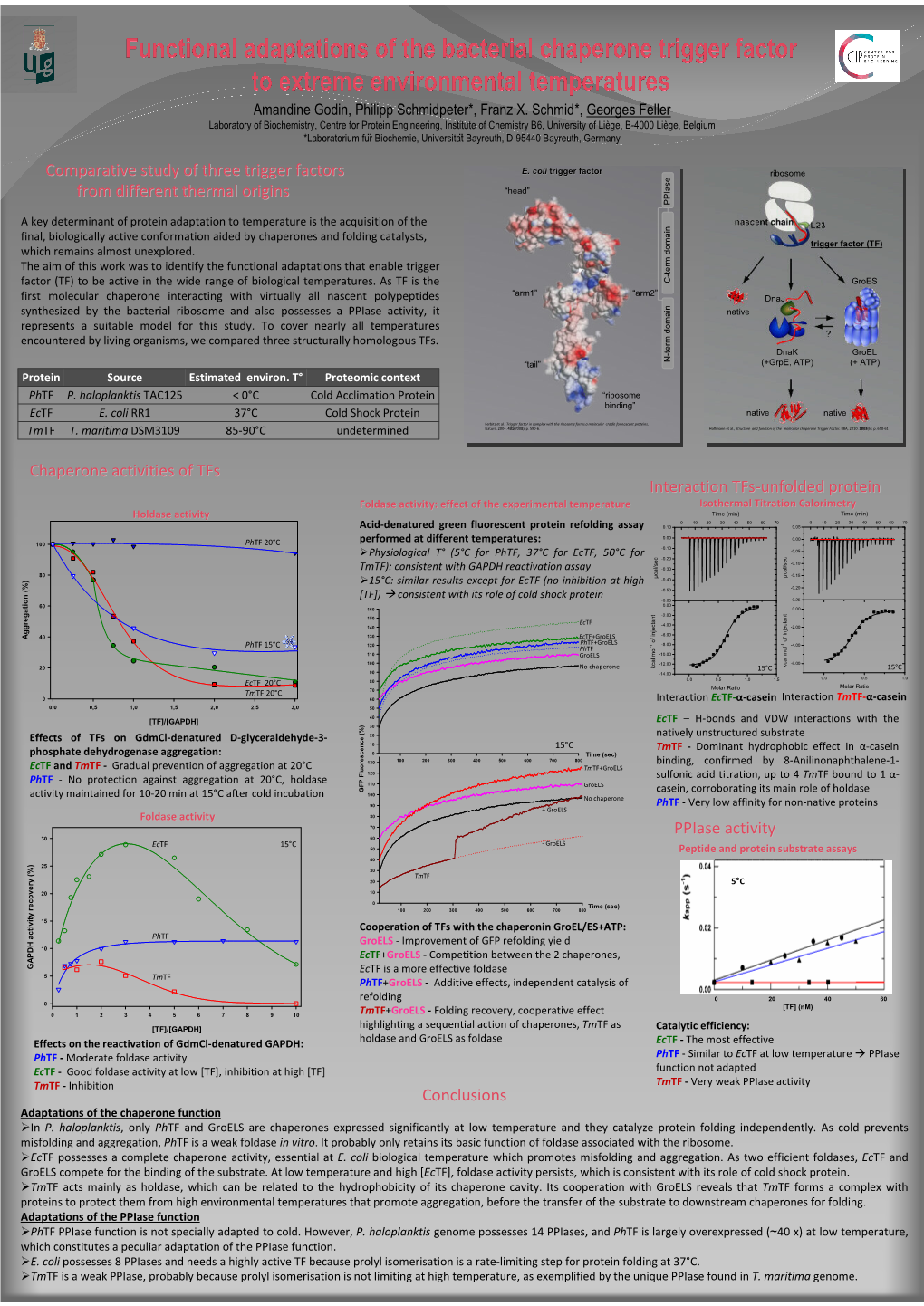 Functional Adaptations of the Bacterial Chaperone Trigger Factor to Extreme