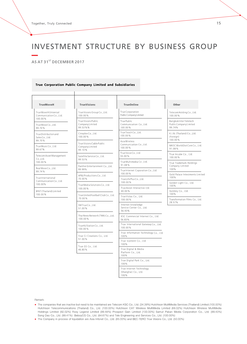 Investment Structure by Business Group