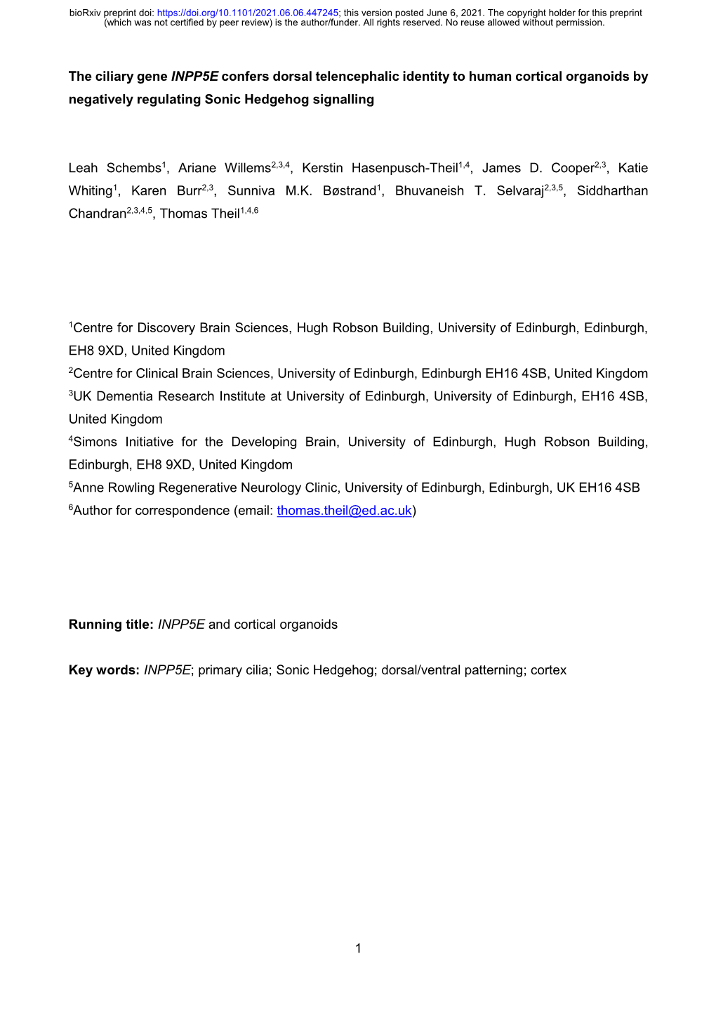 The Ciliary Gene INPP5E Confers Dorsal Telencephalic Identity to Human Cortical Organoids by Negatively Regulating Sonic Hedgehog Signalling