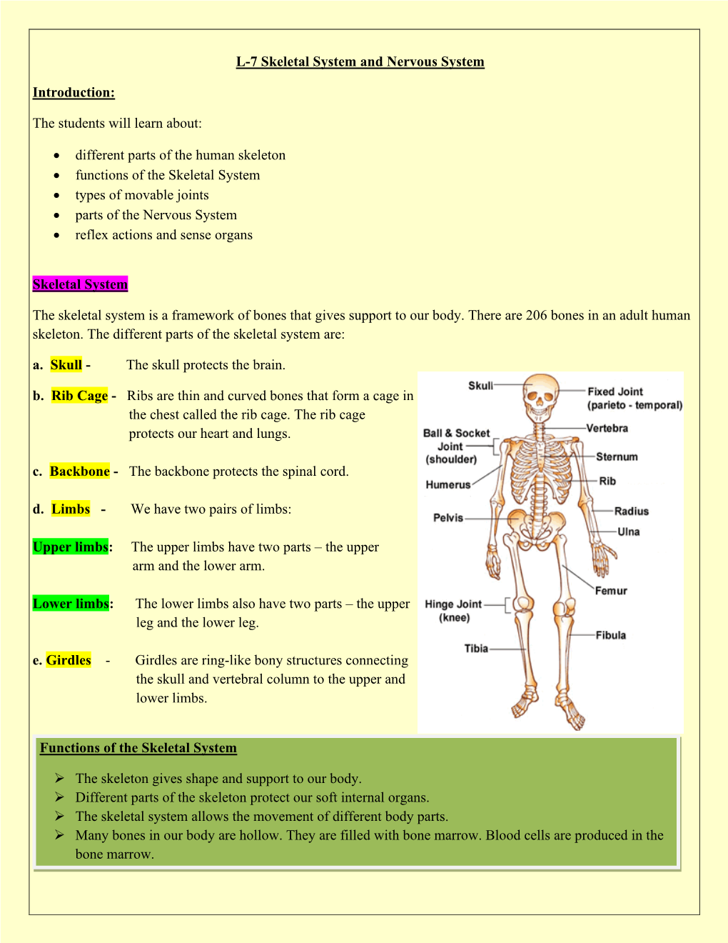 L-7 Skeletal System and Nervous System Introduction: the Students