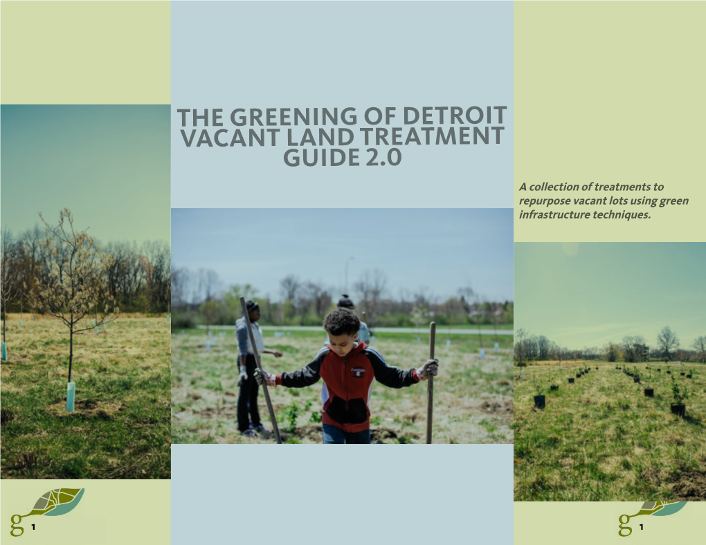 The Greening of Detroit Vacant Land Treatment Guide 2.0 a Collection of Treatments to Repurpose Vacant Lots Using Green Infrastructure Techniques