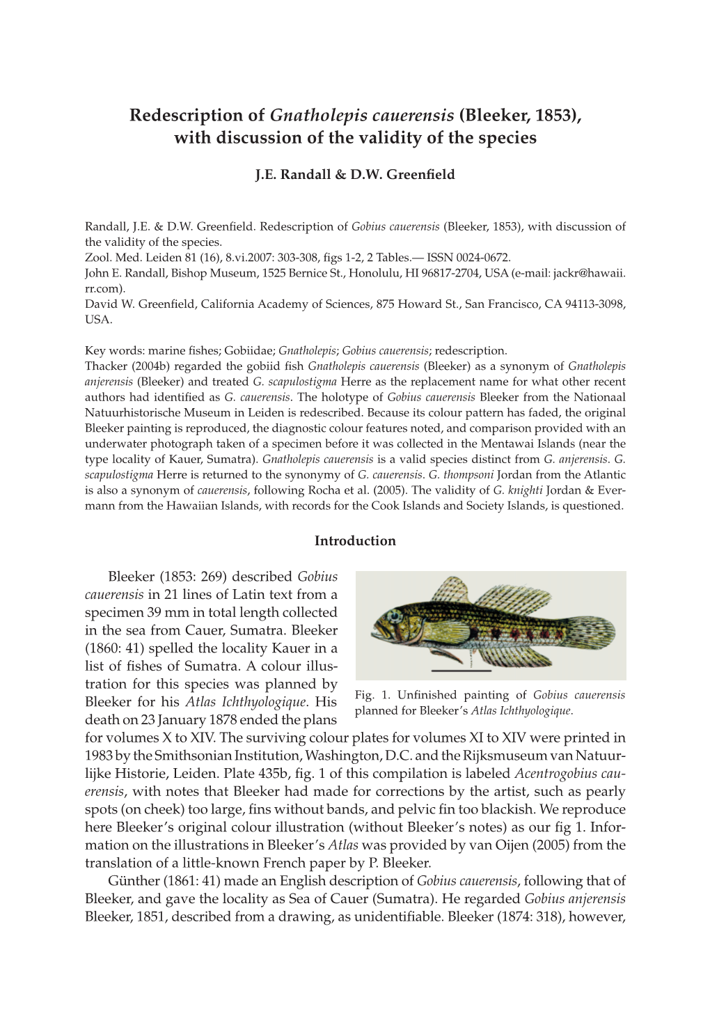 Redescription of Gnatholepis Cauerensis (Bleeker, 1853), with Discussion of the Validity of the Species