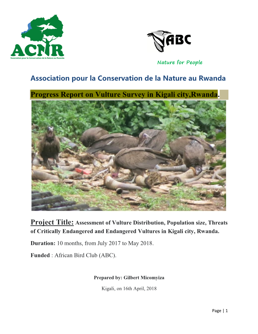 Progress Report on Vulture Survey in Kigali City,Rwanda