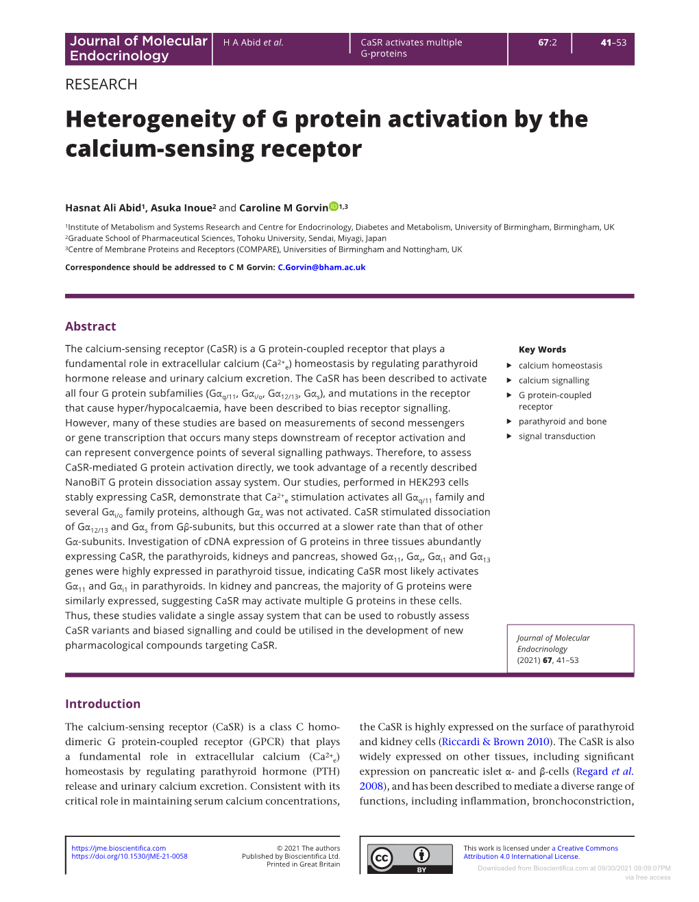Heterogeneity of G Protein Activation by the Calcium-Sensing Receptor