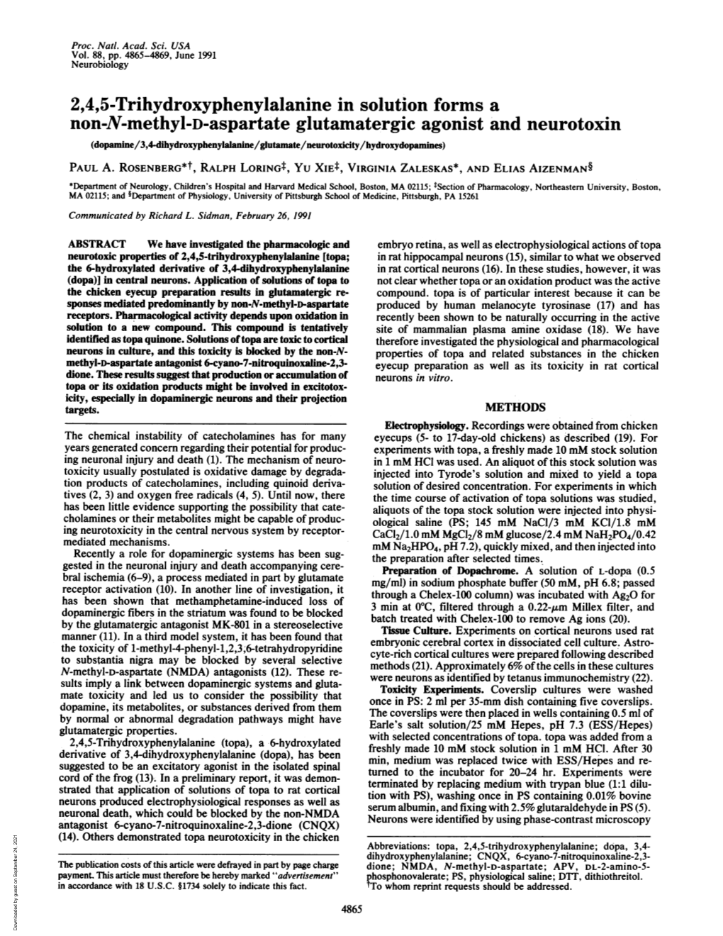 2,4,5-Trihydroxyphenylalanine in Solution Forms a Non-N-Methyl-D