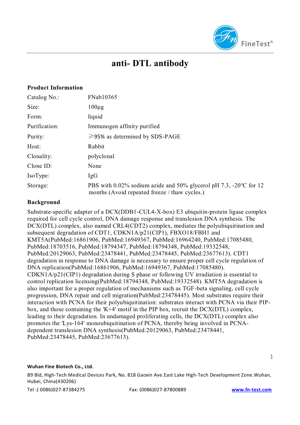 Anti- DTL Antibody