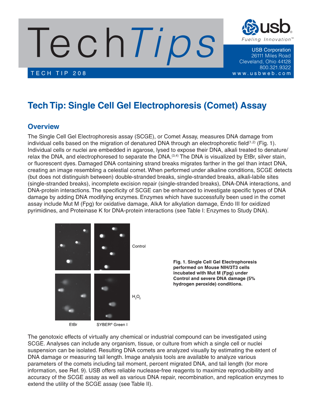 Tech Tip: Single Cell Gel Electrophoresis (Comet) Assay