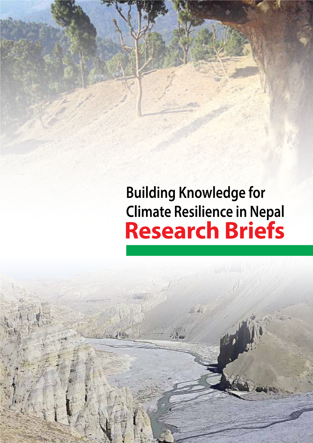 Research Briefs