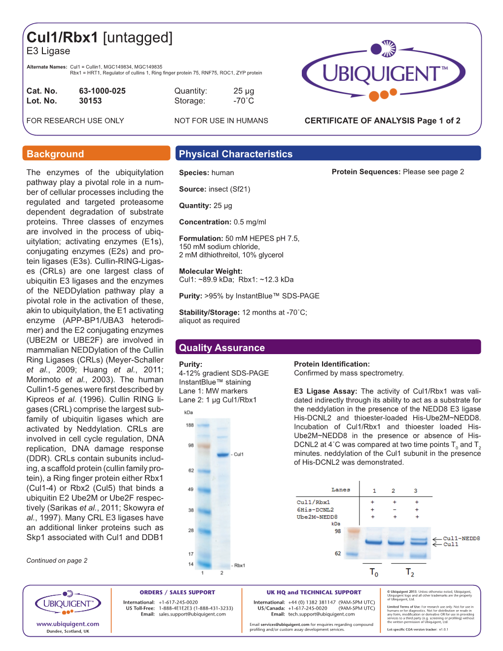 Cul1/Rbx1 [Untagged] E3 Ligase