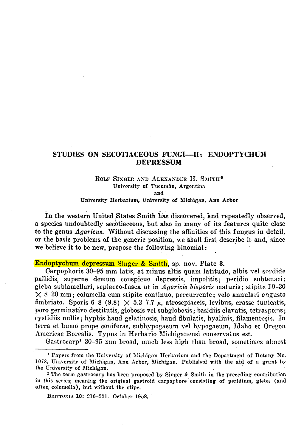 STUDIES on SECOTIACEOUS FUNGI-II: Endoptychul\1 DEPRESSUM