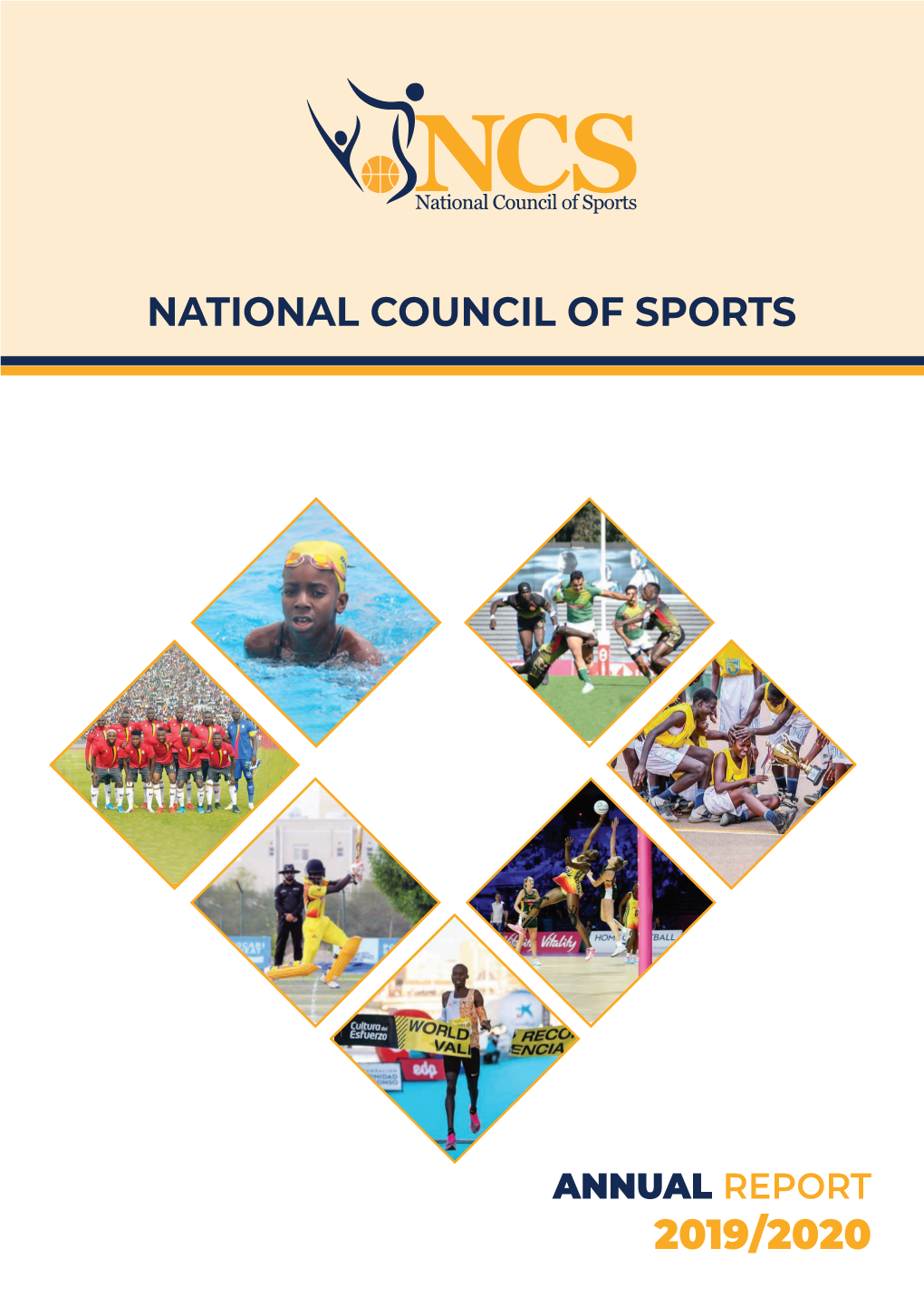 NCS ANNUAL REPORT 2019- 2020.Pdf