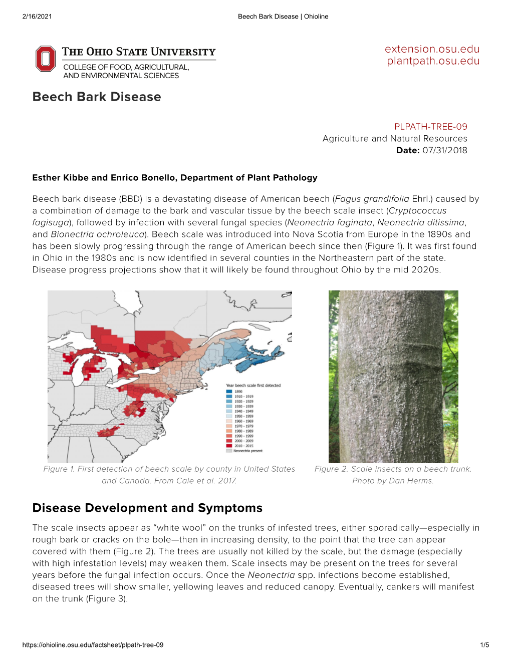 Beech Bark Disease | Ohioline