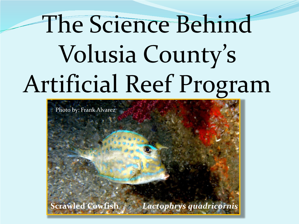 The Science Behind Volusia County's Artificial Reef Program