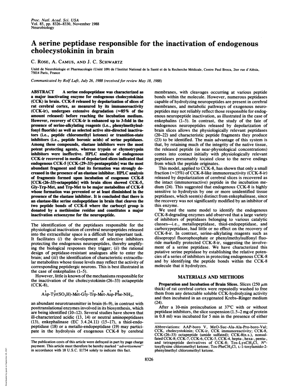 A Serine Peptidase Responsible for the Inactivation of Endogenous Cholecystokinin in Brain C