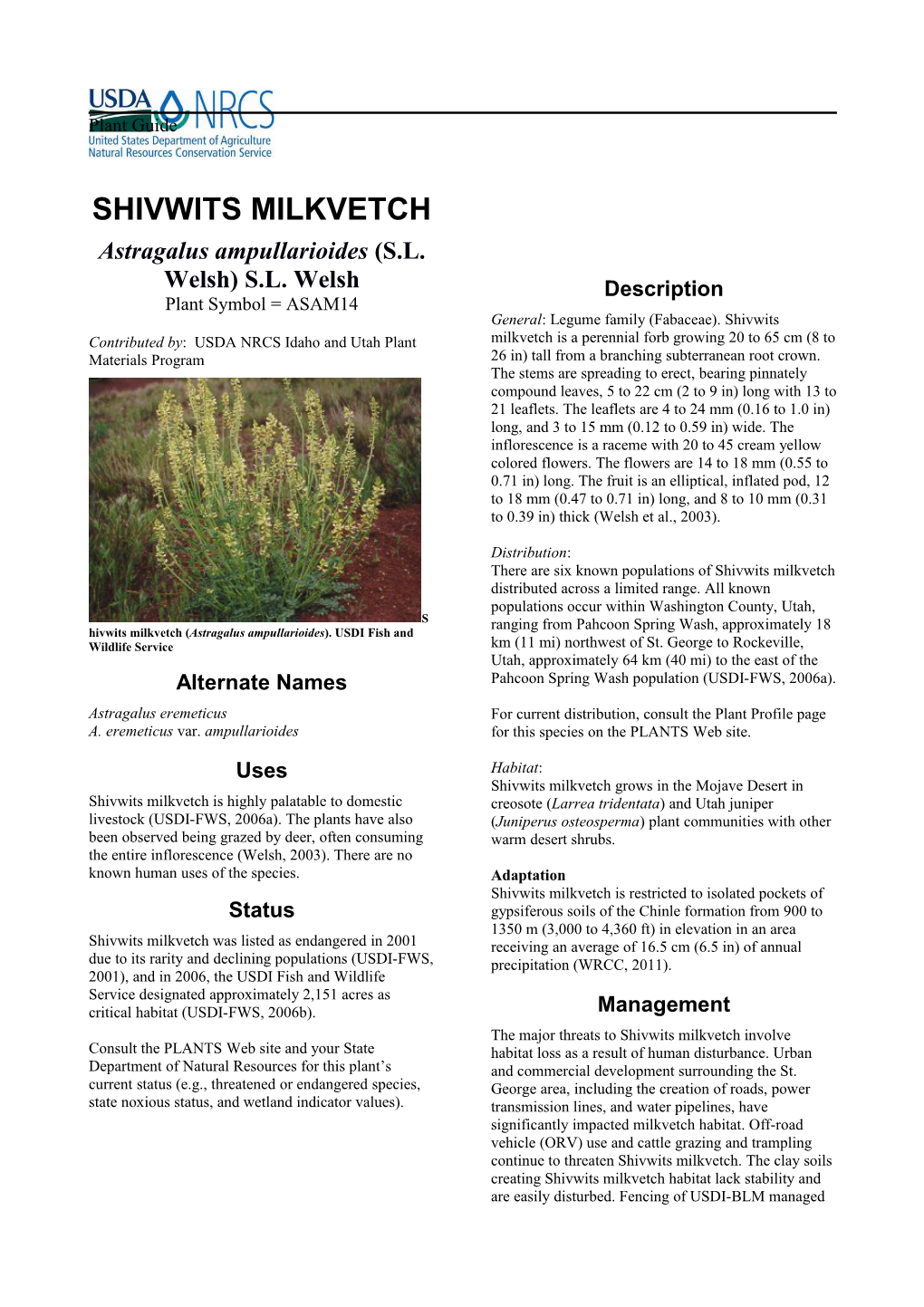 Plant Guide for Shivwits Milkvetch (Astragalus Ampullarioides)