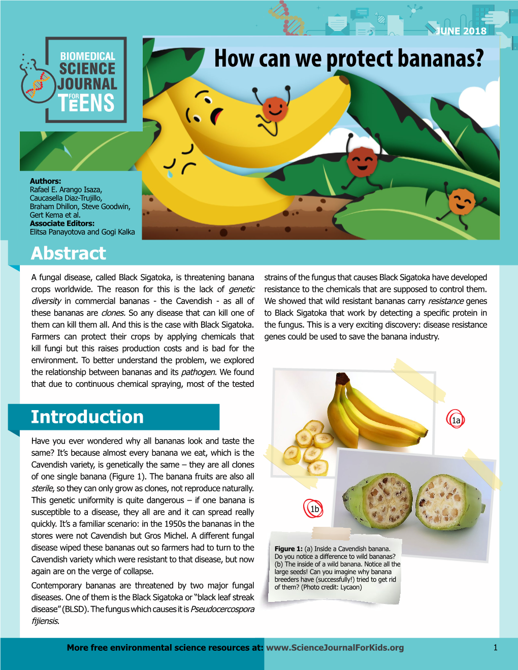 What Causes Lizards' Brains to Change Size? How Can We Protect Bananas?