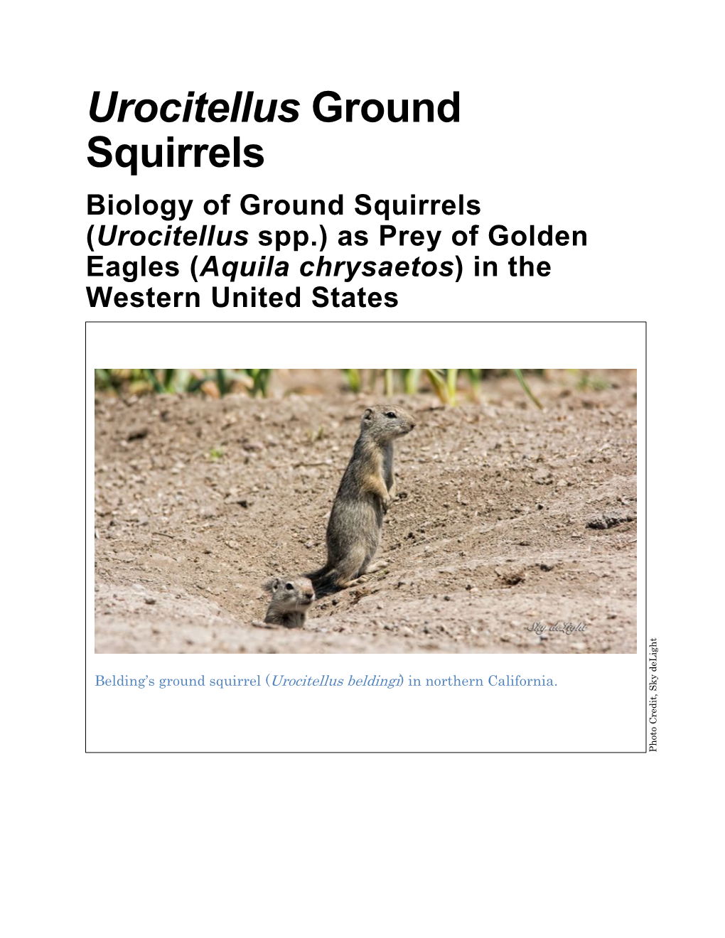 Urocitellus Ground Squirrels Biology of Ground Squirrels (Urocitellus Spp.) As Prey of Golden Eagles (Aquila Chrysaetos) in the Western United States