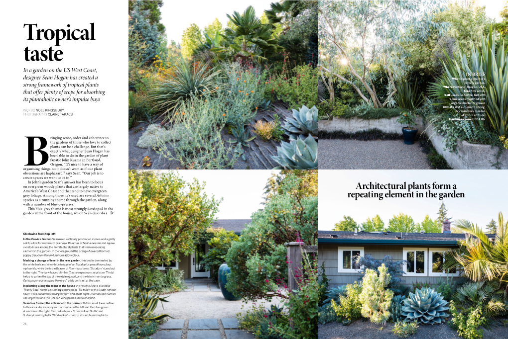 Tropical Taste in a Garden on the US West Coast, in BRIEF Designer Sean Hogan Has Created a What a Plant Collector’S Private Garden