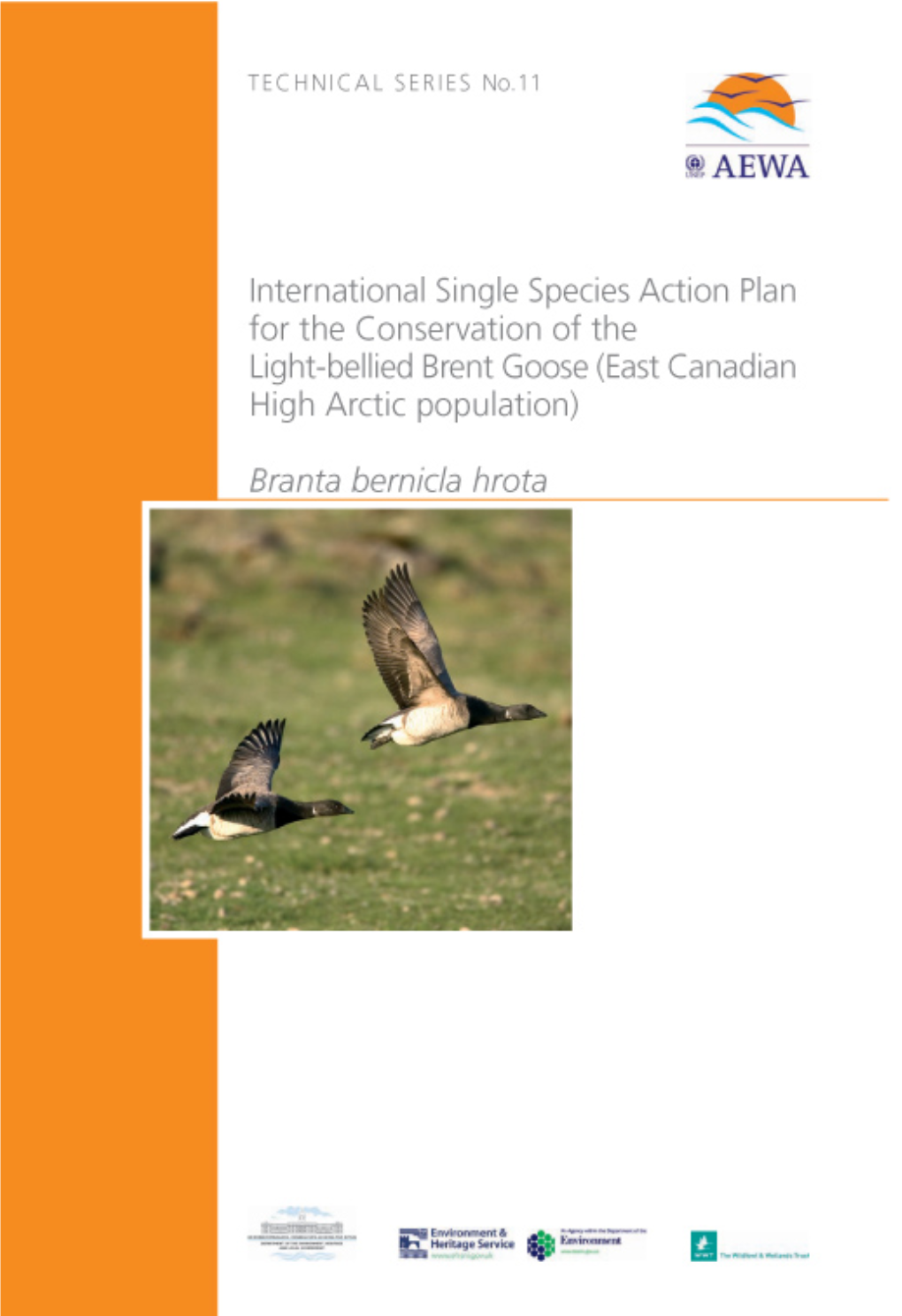 International Single Species Action Plan for the Conservation of the Light-Bellied Brent Goose (East Canadian High Arctic Population)