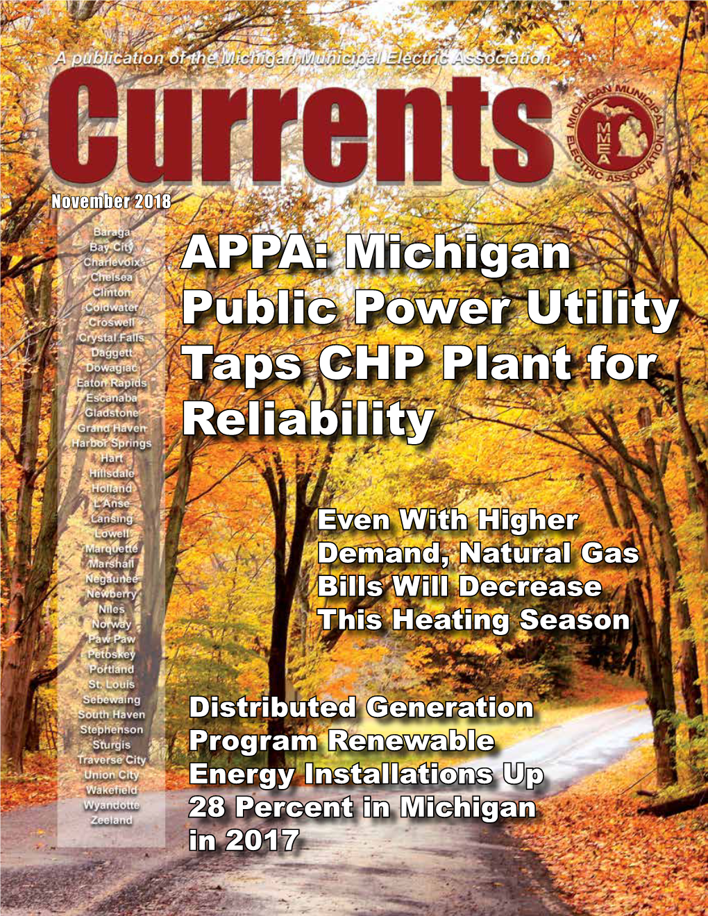 Michigan Public Power Utility Taps CHP Plant for Reliability