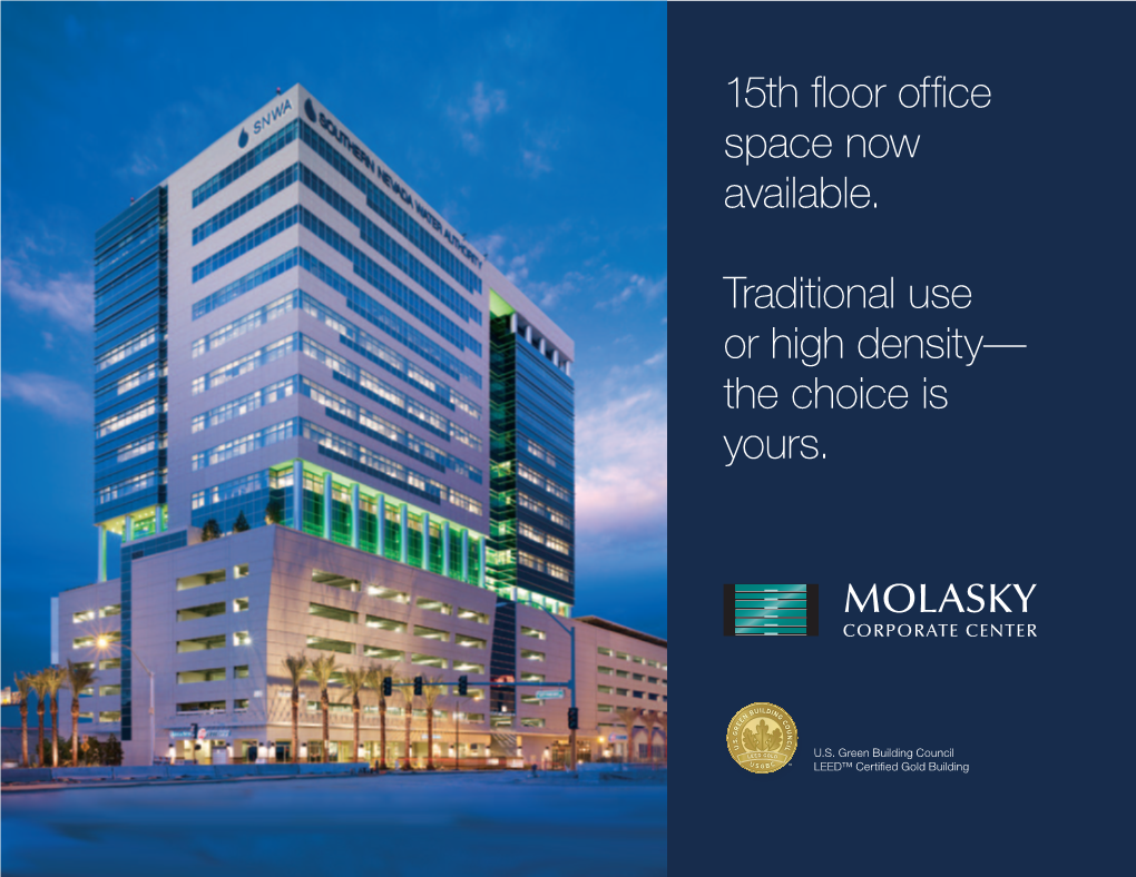 15Th Floor Office Space Now Available. Traditional Use Or High Density