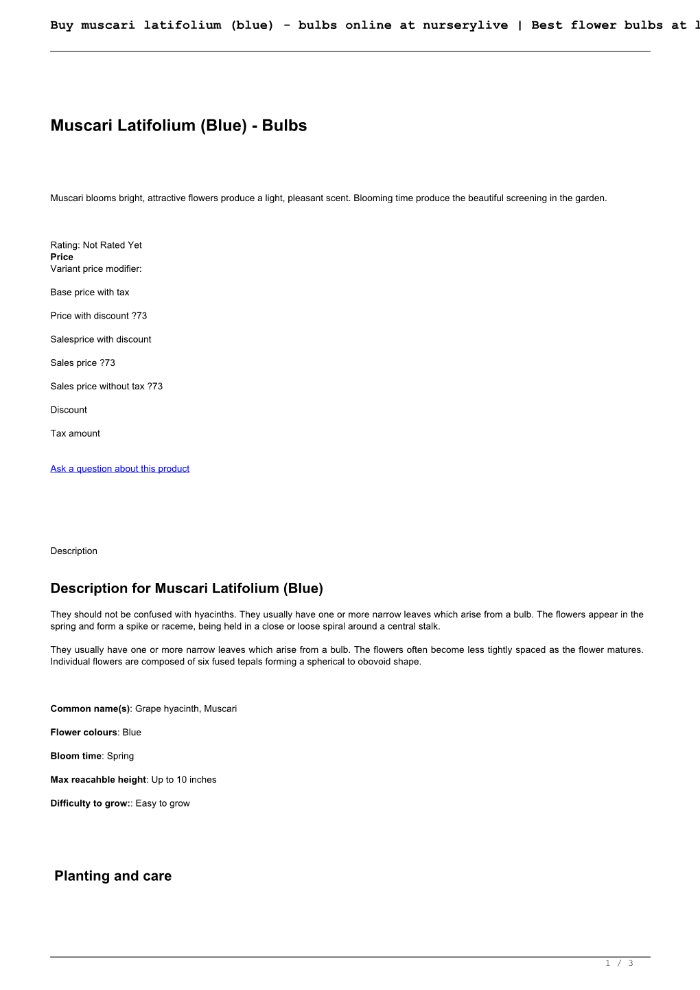 Buy Muscari Latifolium (Blue) - Bulbs Online at Nurserylive | Best Flower Bulbs at Lowest Price